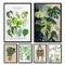 Botanical Green Houseplant Canvas Art Calming Nature Indoors Interior Print 0