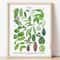 Botanical Green Houseplant Canvas Art Calming Nature Indoors Interior Print 13
