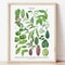 Botanical Green Houseplant Canvas Art Calming Nature Indoors Interior Print 13