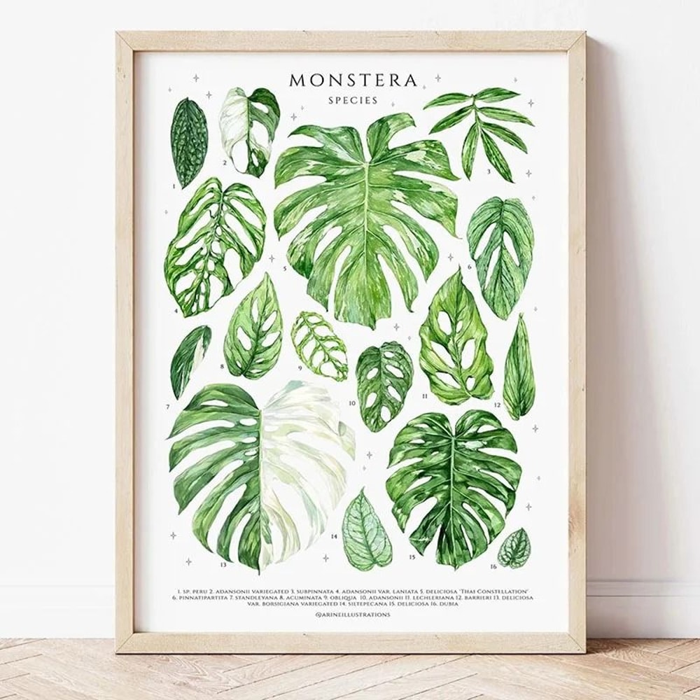 Botanical Green Houseplant Canvas Art Calming Nature Indoors Interior Print 6