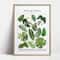 Botanical Green Houseplant Canvas Art Calming Nature Indoors Interior Print 21