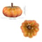 Miniature Harvest Pumpkin Set 9pcs Realistic Holiday Decor For Thanksgiving DIY Crafts 4