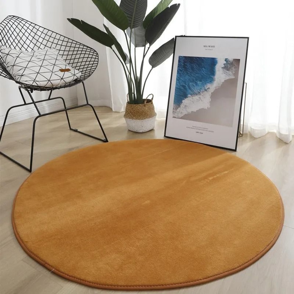 Modern Coral Velvet Circular Area Rug Silent MoistureProof Play Mat For Living Rooms 9