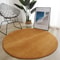 Modern Coral Velvet Circular Area Rug Silent MoistureProof Play Mat For Living Rooms 9