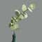 Premium RealTouch Artificial Eucalyptus Stems 10Piece HandFeel Foliage For Wedding Bouquets Home 5
