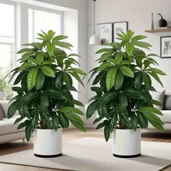 majestic 82cm artificial money tree | realistic indoor/outdoor palm for garden, porch & wedding decor