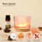 Natural Crystal Raw Stone Aromatherapy Lamp Rose Quartz Healing Mineral Light For Home Wellness D 6