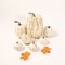 Artisanal Harvest Pumpkin Collection 7Piece Premium Simulated Pumpkin Set For Autumn Weddings Hal 2