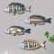 Artisanal Carved Wood Fish Quartet 4Piece Marine Sculpture Set For Coastal Home Nautical Wall Dec 0