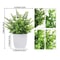 Energetic Artificial Bonsai Tree Vivid NonFading Greenery Centerpiece For Modern Office Home Tabl 1
