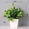 Energetic Artificial Bonsai Tree Vivid NonFading Greenery Centerpiece For Modern Office Home Tabl 4