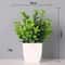 Energetic Artificial Bonsai Tree Vivid NonFading Greenery Centerpiece For Modern Office Home Tabl 6