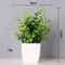 Energetic Artificial Bonsai Tree Vivid NonFading Greenery Centerpiece For Modern Office Home Tabl 7