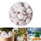 Premium White Polished Natural Pebbles HighGloss Decorative Stone For Landscaping Fish Tanks Pott 0