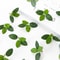 50Pcs Artificial Green Silk Tea Leaves Realistic Foliage For Wedding Bouquets DIY Wreaths Holiday 1