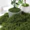 DIY Premium Artificial Green Moss Faux Preserved Moss For Terrariums Garden Landscapes Home Decor 0