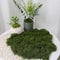 DIY Premium Artificial Green Moss Faux Preserved Moss For Terrariums Garden Landscapes Home Decor 10