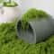 DIY Premium Artificial Green Moss Faux Preserved Moss For Terrariums Garden Landscapes Home Decor 2