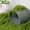 DIY Premium Artificial Green Moss Faux Preserved Moss For Terrariums Garden Landscapes Home Decor 2