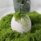 DIY Premium Artificial Green Moss Faux Preserved Moss For Terrariums Garden Landscapes Home Decor 3