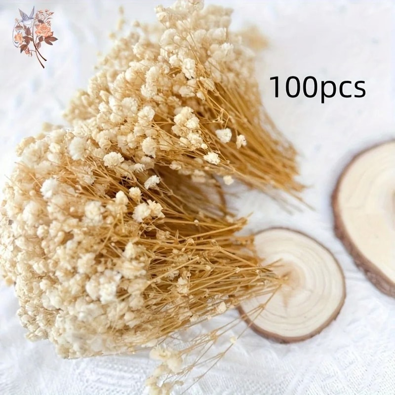 100Pcs Dried Babys Breath Flowers Real Gypsophila For Resin Crafts DIY Wedding Home Decor 1
