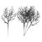 5Pcs Black Halloween Dead Branches Realistic Antler Tree Stems Gothic DIY Floral Arrangement Deco 1
