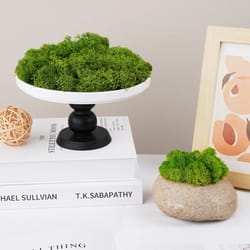 natural green moss simulation | eternal life moss for micro landscapes | diy terrarium & fairy garden wall decor