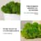 Natural Green Moss Simulation Eternal Life Moss For Micro Landscapes DIY Terrarium Fairy Garden 4