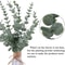 Bulk Silk Eucalyptus Leaves Artificial Silver Dollar Greenery Faux Foliage For Wedding Decor Who 3