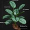40cm Artificial Tropical Palm Realistic Fake Monstera Plant Lush Plastic Greenery Bouquet For Hom 7