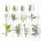 10Pcs Artificial Greenery Leaves Decorative Foliage For Cake Candy Boxes DIY Wreath Garland Ste 5