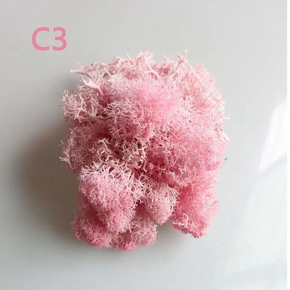Artificial Eternal Life Moss Decorative Faux Greenery For Wedding DIY Crafts Micro Landscape Mos 9