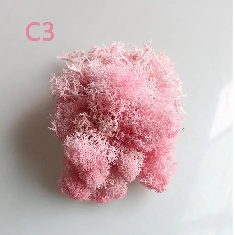 Artificial Eternal Life Moss Decorative Faux Greenery For Wedding DIY Crafts Micro Landscape Mos 9