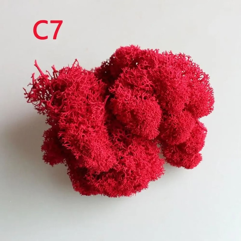 Artificial Eternal Life Moss Decorative Faux Greenery For Wedding DIY Crafts Micro Landscape Mos 11