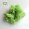 Artificial Eternal Life Moss Decorative Faux Greenery For Wedding DIY Crafts Micro Landscape Mos 7