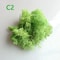 Artificial Eternal Life Moss Decorative Faux Greenery For Wedding DIY Crafts Micro Landscape Mos 7