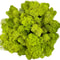 Artificial Reindeer Moss For Potted Plants Natural Green Fake Moss For Floral Wall DIY Crafts We 10