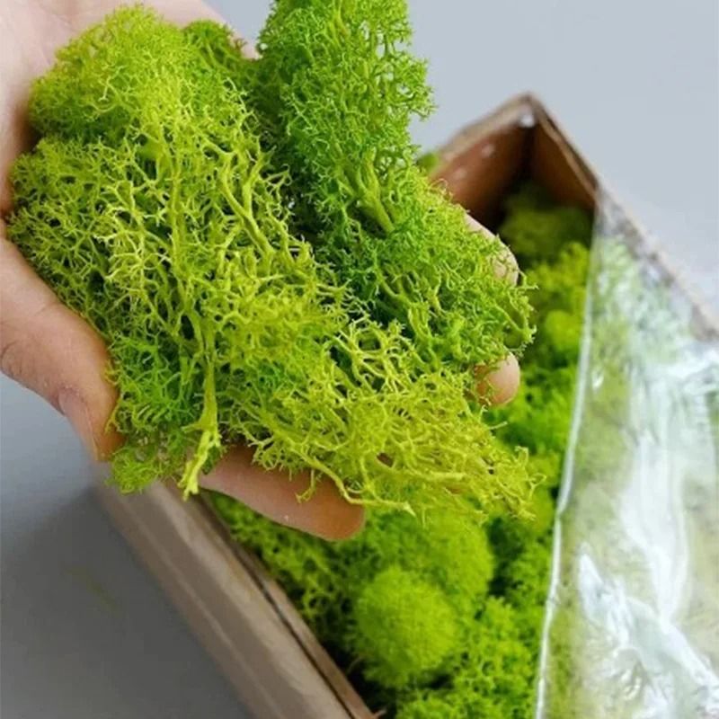 Artificial Eternal Moss Grass Mini Landscape Greenery Realistic DIY Craft Moss For Home Garden 4