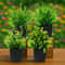 Mini Artificial Potted Bonsai Tree Simulation Green Grass Plant Modern Home Office Desk Ornament 5