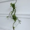 Artificial Dead Tree Vine Rattan Realistic Twisted Jungle Branch Modern Pipe Landscaping Wedding 6