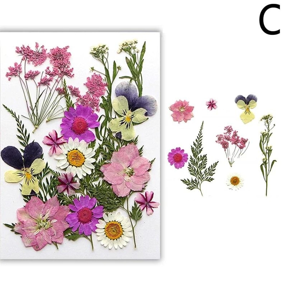 Preserved Natural Dried Flowers Mixed Botanical Resin Fillings Floral Craft Set For Jewelry Home 8