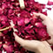 Premium Dried Rose Petals 500g Bulk Natural Spa Botanicals Professional Aromatherapy Luxury Even 2