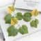 Artificial Grape Leaf Silk Foliage Faux Greenery Vine Garland Professional Wedding Festival Home 3