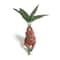 Mythical Mandrake Resin Statue Forbidden Forest Root Figurine Professional Fantasy Garden Deskto 2