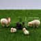 Miniature Resin Sheep Family Set 4pc Pastoral Garden Sculpture Professional Micro Landscape Desk 2