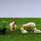 Miniature Resin Sheep Family Set 4pc Pastoral Garden Sculpture Professional Micro Landscape Desk 3