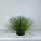Botanical Onion Grass Bushes Realistic 50cm Reeds Greenery Professional IndoorOutdoor Sanctuary 5