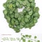 210cm Artificial Green Ivy Leaf Garland Professional Silk Wall Hanging Vine For Garden Weddings 9