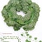 210cm Artificial Green Ivy Leaf Garland Professional Silk Wall Hanging Vine For Garden Weddings 10