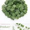210cm Artificial Green Ivy Leaf Garland Professional Silk Wall Hanging Vine For Garden Weddings 8